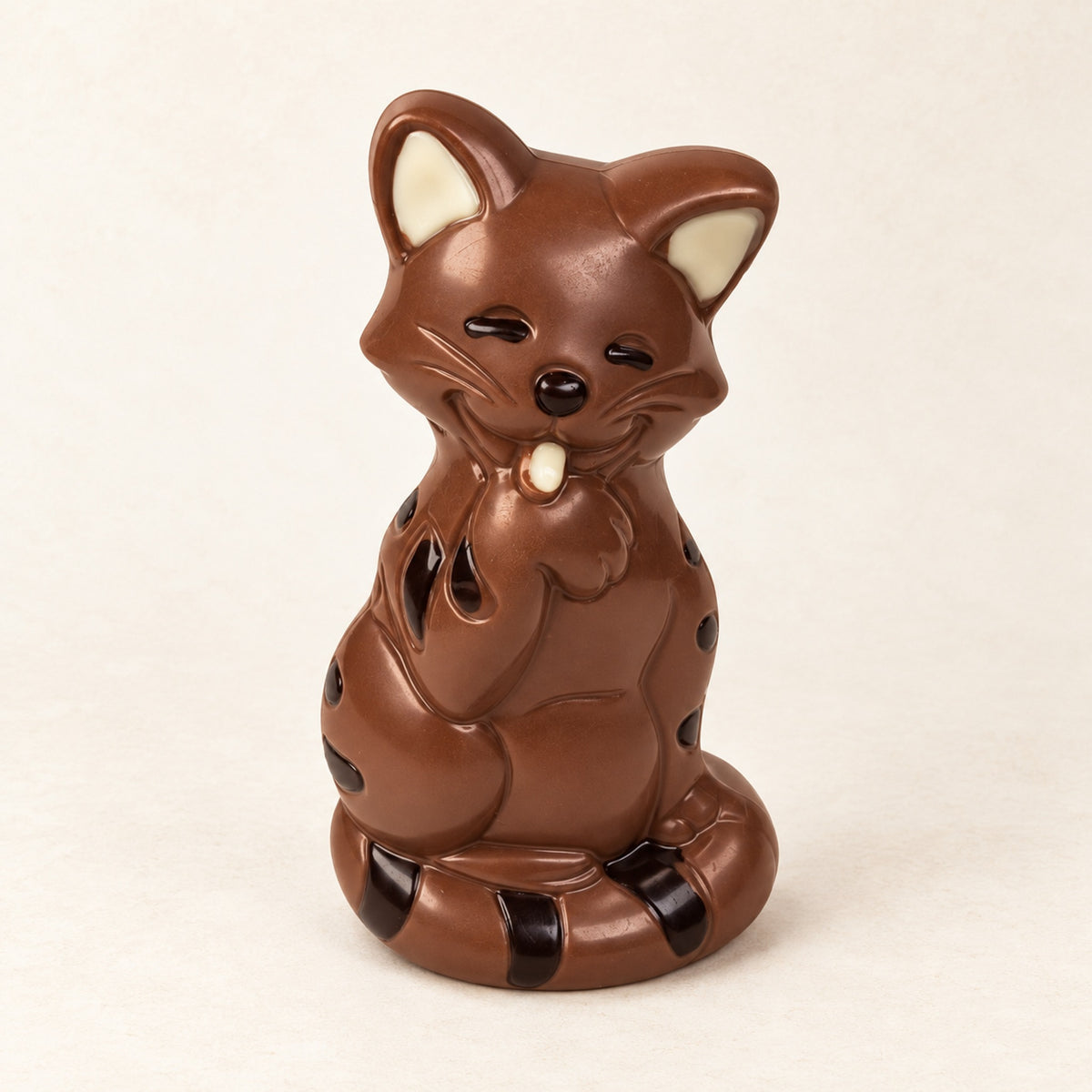 Grote gekleurde chocolade poes